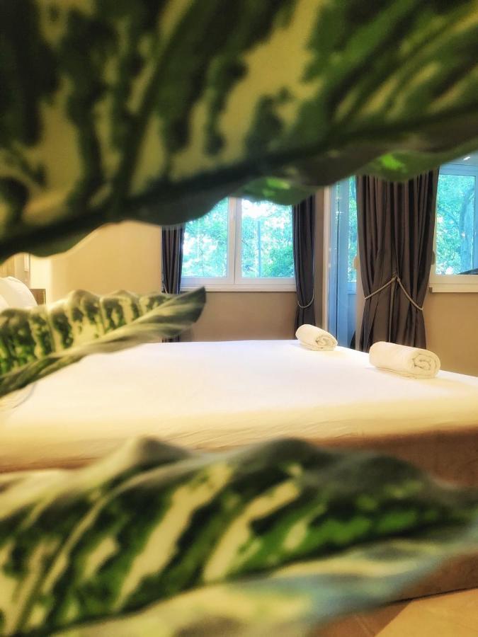 Spa Pleasure Apartman 노비사드 외부 사진