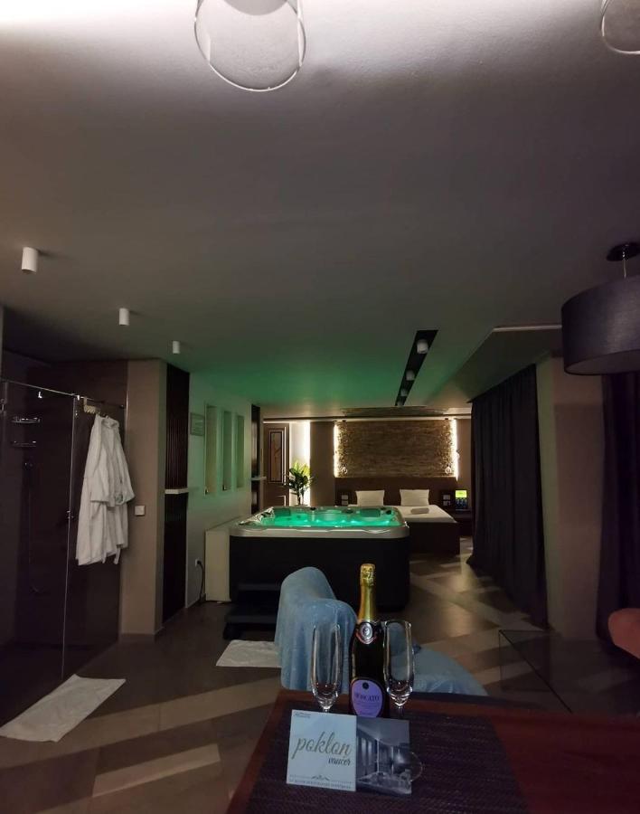 Spa Pleasure Apartman 노비사드 외부 사진