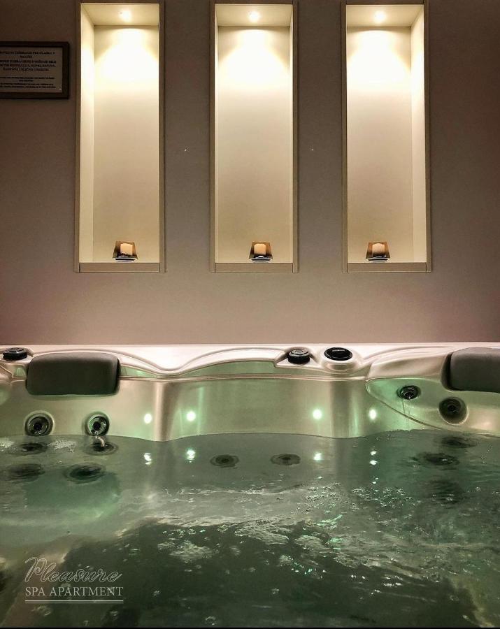 Spa Pleasure Apartman 노비사드 외부 사진